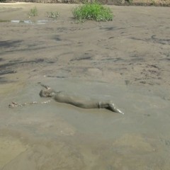 jilly: My 1st mud video of the season! Dress+Stockings=yay! :D