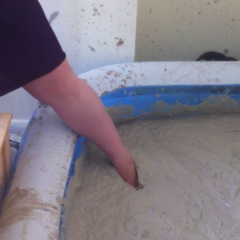 CandyCustard: Hello and a mud vid for you :)