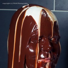 WAM Photography: WAM Photography - Dany dipped in chocolate