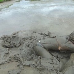 Jayce: !New DL! Jayce Has Fun in the Mud Pit Wearing a Bikini and Sneakers!