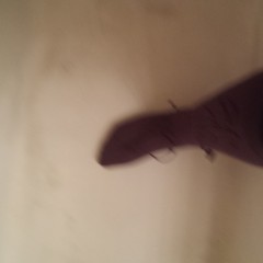 Socklover24: Messy OTC Socks