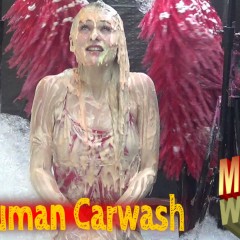 LiquidX: Ashleigh Jamerson: A New Face for Wam....