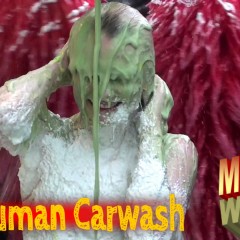 LiquidX: Ashleigh Jamerson: A New Face for Wam....