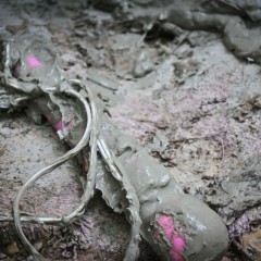 MudBunny: We need your help :)