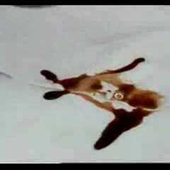 1978wam: 
