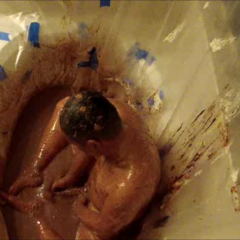 nmmudboy: 