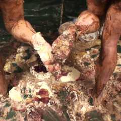 MissT: Cake Walk--Nude Sploshing Ep 3