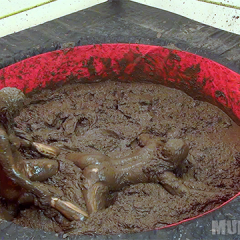 wamfan: Muddy Knockout