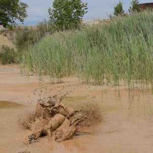 RyuuWammer: Photos from this years upcoming mudpit vidoes