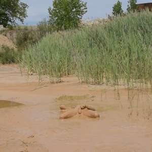 RyuuWammer: Photos from this years upcoming mudpit vidoes