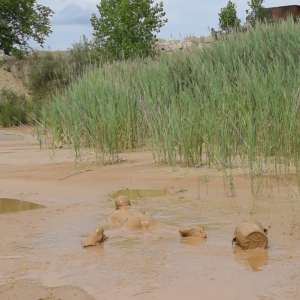 RyuuWammer: Photos from this years upcoming mudpit vidoes