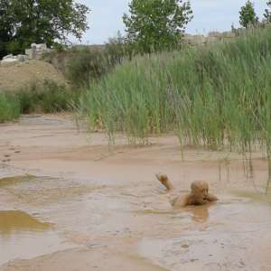 RyuuWammer: Photos from this years upcoming mudpit vidoes