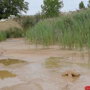 RyuuWammer: Photos from this years upcoming mudpit vidoes