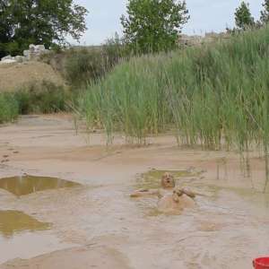 RyuuWammer: Photos from this years upcoming mudpit vidoes
