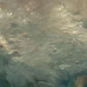 : Wetlook Pranksters