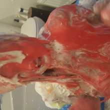 MyPieRogative: Messy Session Photos!