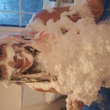 MyPieRogative: Messy Session Photos!