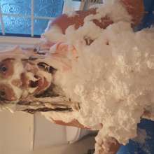 MyPieRogative: Messy Session Photos!