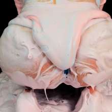 MudBunny: Can you ever really be too messy?