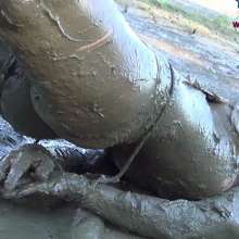 Jayce: Hogtied Super Tight, Ball-Gagged and Shoved into Thick, Sticky Mud!