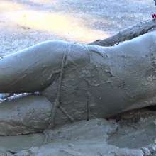 Jayce: Hogtied Super Tight, Ball-Gagged and Shoved into Thick, Sticky Mud!