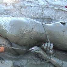 Jayce: Hogtied Super Tight, Ball-Gagged and Shoved into Thick, Sticky Mud!