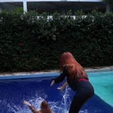 WAM Photography: 