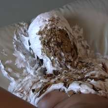 Messygirl: Pics from a new Messygirl Download
