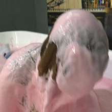 MostWam: Cassie And The Bath Of Pink Gunge