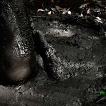 muddoug: Mud Pit Challenges