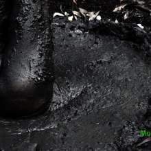 muddoug: Mud Pit Challenges