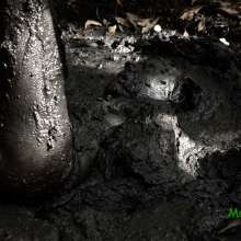 muddoug: Mud Pit Challenges