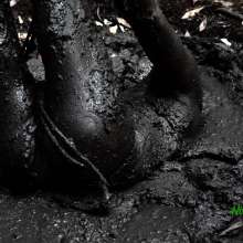 muddoug: Mud Pit Challenges