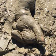 boychucker: Hottest Boychucker Mud Video to Date!