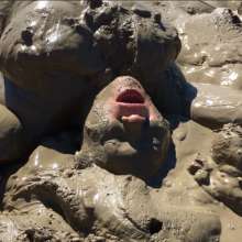 boychucker: Hottest Boychucker Mud Video to Date!
