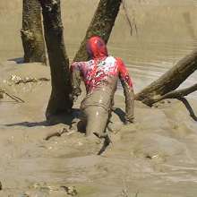 FOXY: painted and deep mud