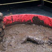 wamfan: Mud Wrestling Video: Old Glory