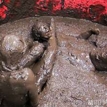 wamfan: Mud Wrestling Video: Old Glory