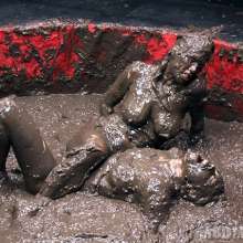 wamfan: Mud Wrestling Video: Old Glory