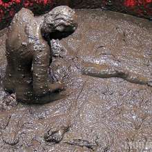 wamfan: Mud Wrestling Video: Old Glory
