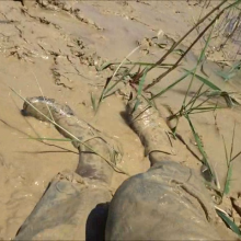 carlosstf33: Mud in pantyhose, jeans, shoes