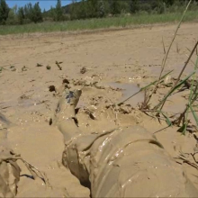carlosstf33: Mud in pantyhose, jeans, shoes
