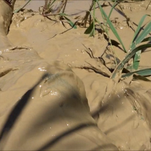 carlosstf33: Mud in pantyhose, jeans, shoes