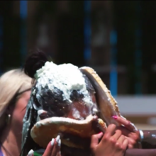 NorthernWAM: Pie game returns on Love Island