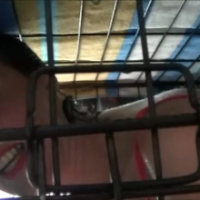 123gunge: Toy tormented in the cage.