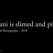 WAM Photography: Dani Is Slimed and Pied