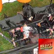 LiquidX: 6 Month Re-cap on Messyworld.net
