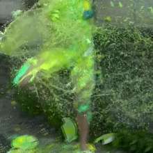 123gunge: Shelby's lovely time by the canal.