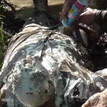 123gunge: Andy VS Nicola at the farm!