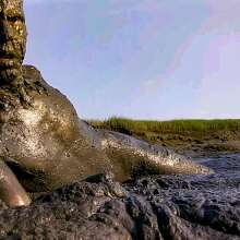 Clifford Anderton: 3 New Mud Galleries!